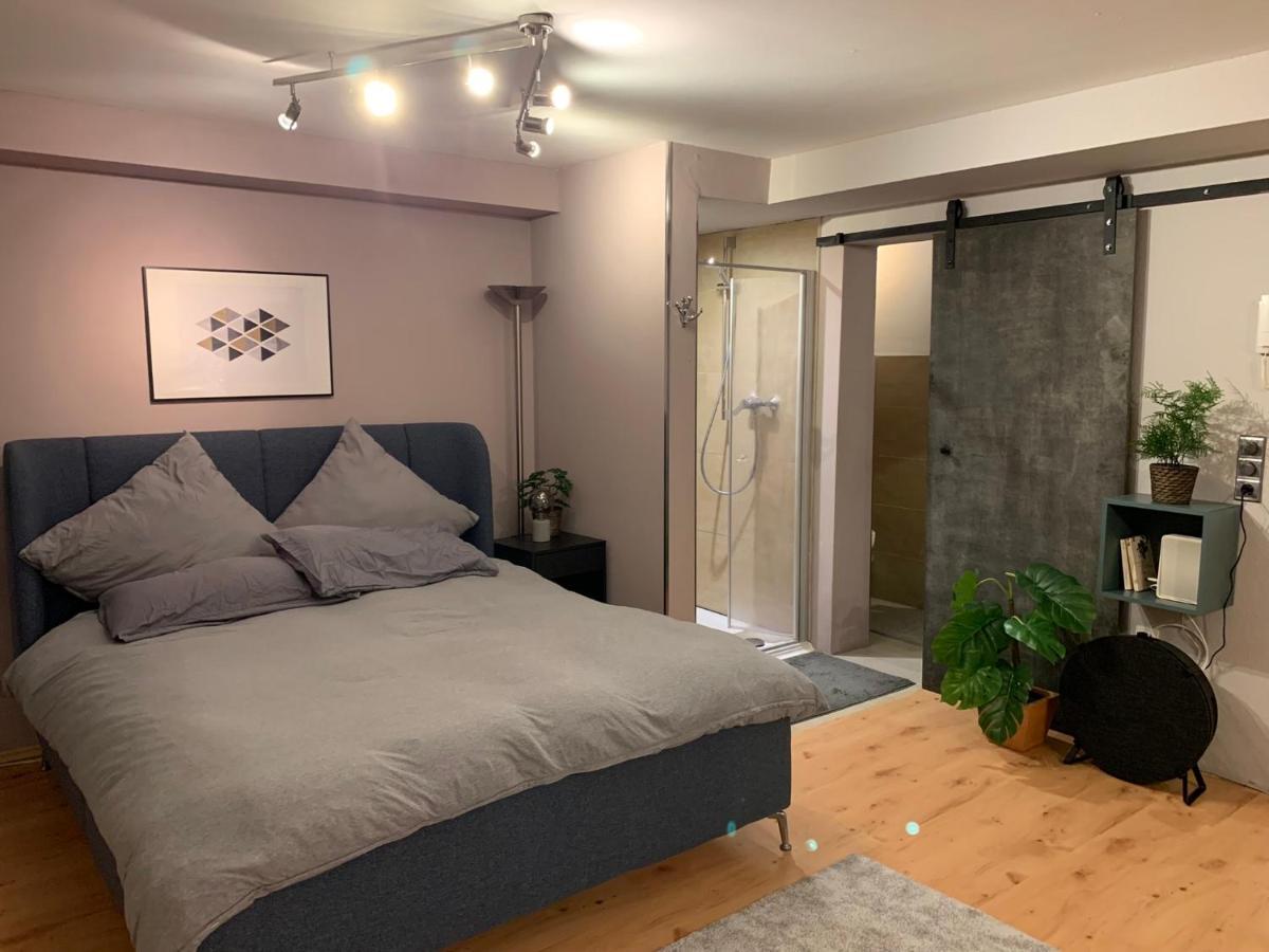 Top Studio Appartement Im Gruenen Nah Phantasialand Brühl Buitenkant foto