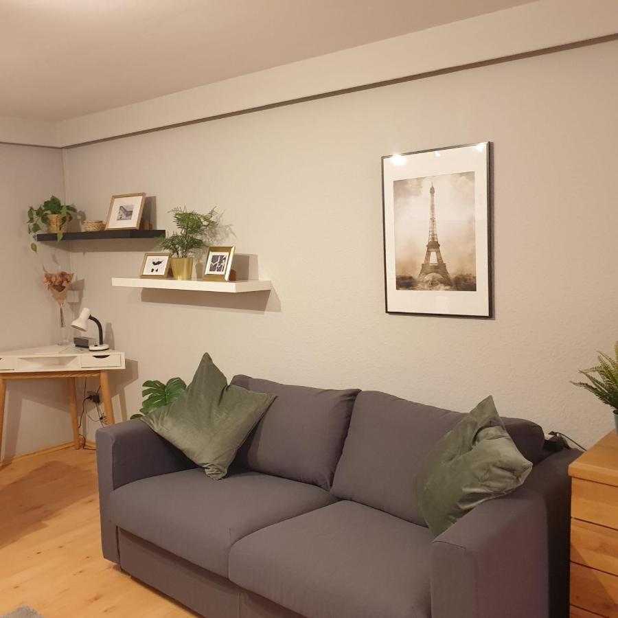 Top Studio Appartement Im Gruenen Nah Phantasialand Brühl Buitenkant foto